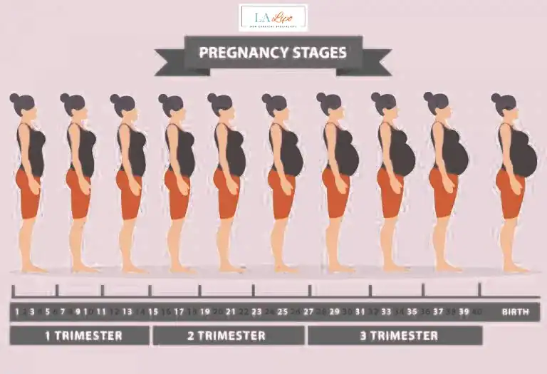 First Trimester (Weeks 1–12): Early Changes You Might Not Notice Edmonton